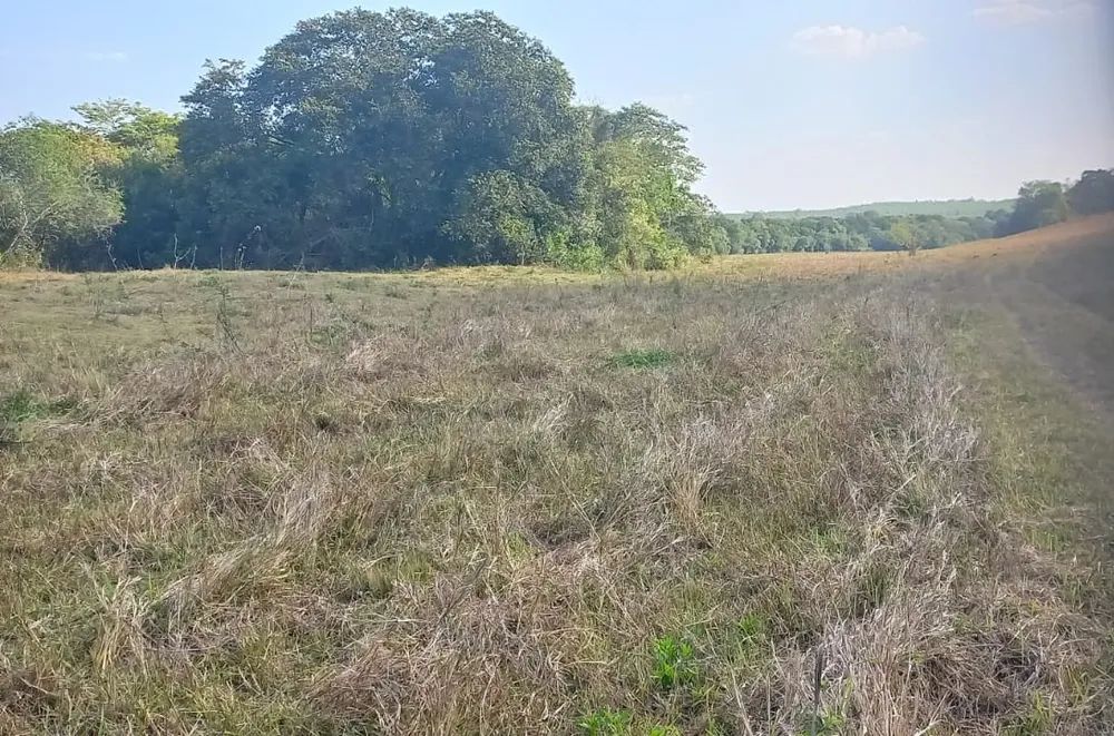 Fazenda, 420 hectares - Foto 20