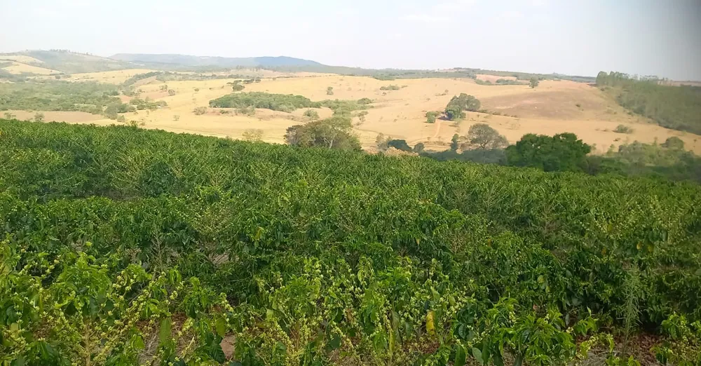 Fazenda, 420 hectares - Foto 23
