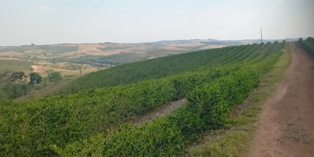 Fazenda, 420 hectares - Foto 5