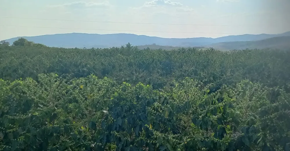 Fazenda, 420 hectares - Foto 8