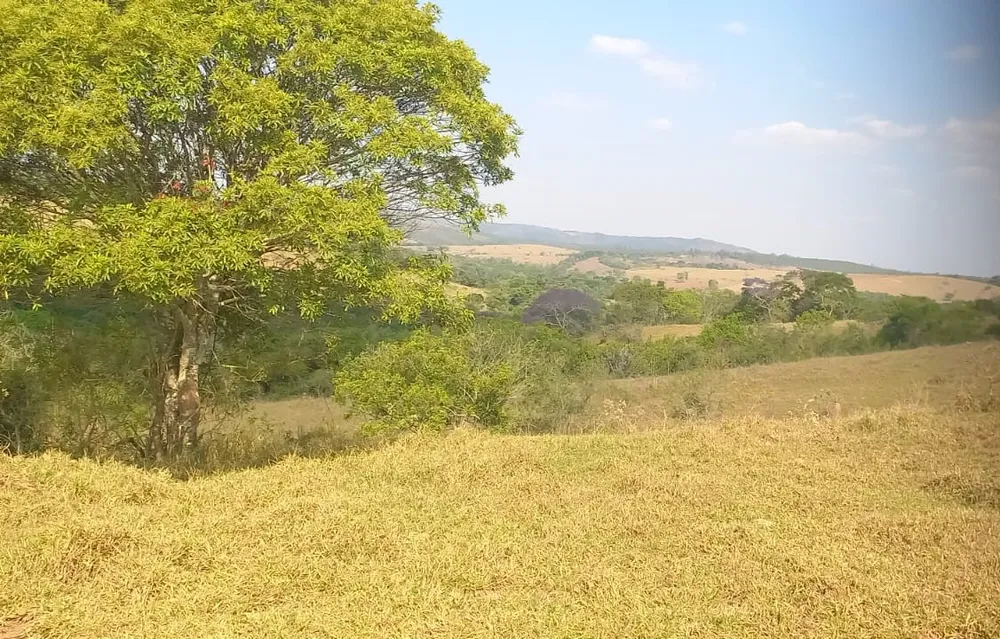 Fazenda, 420 hectares - Foto 11
