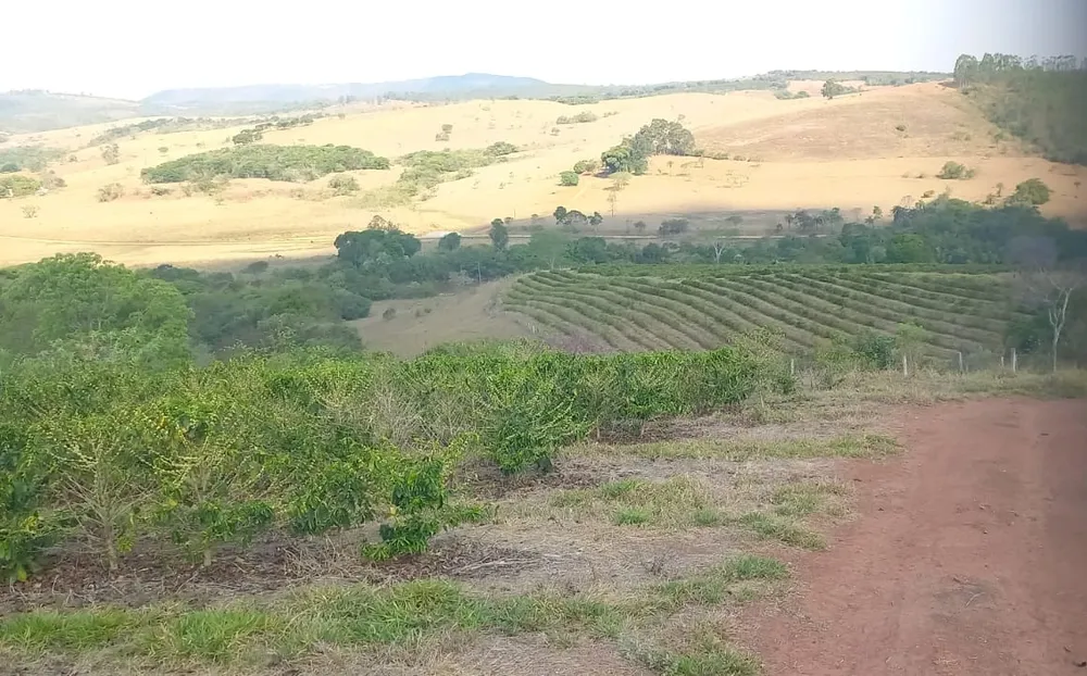 Fazenda, 420 hectares - Foto 7