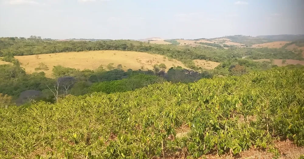Fazenda, 420 hectares - Foto 7