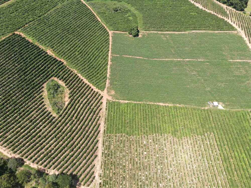 Fazenda à venda com 3 quartos, 790000m² - Foto 4