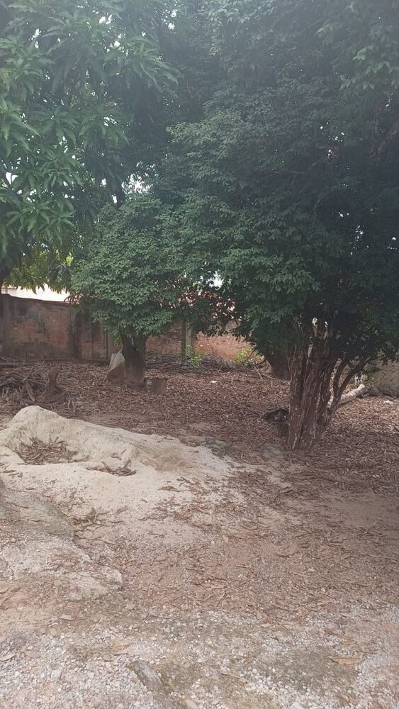 Terreno à venda, 720m² - Foto 2