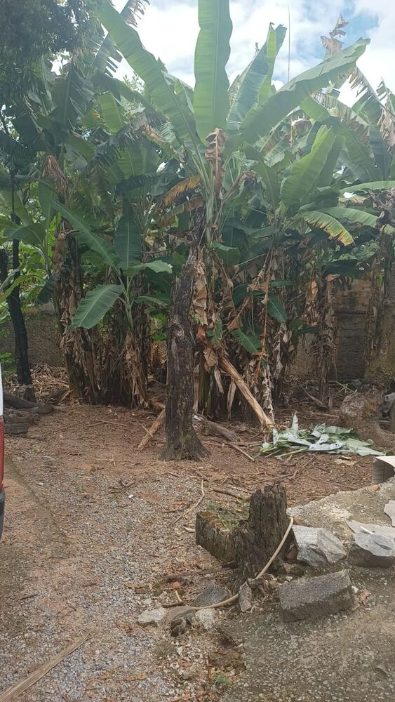 Terreno à venda, 720m² - Foto 4