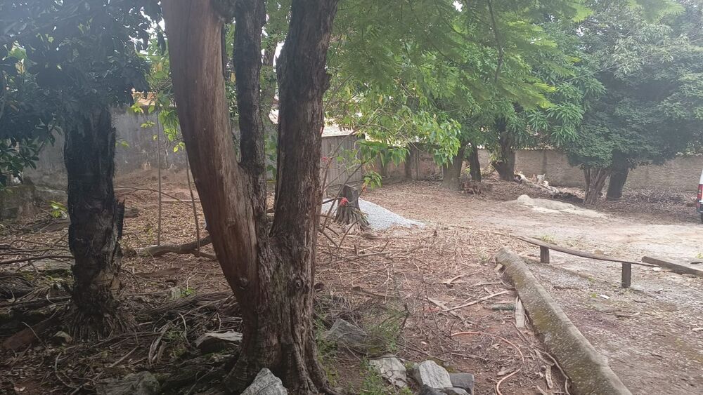 Terreno à venda, 720m² - Foto 6
