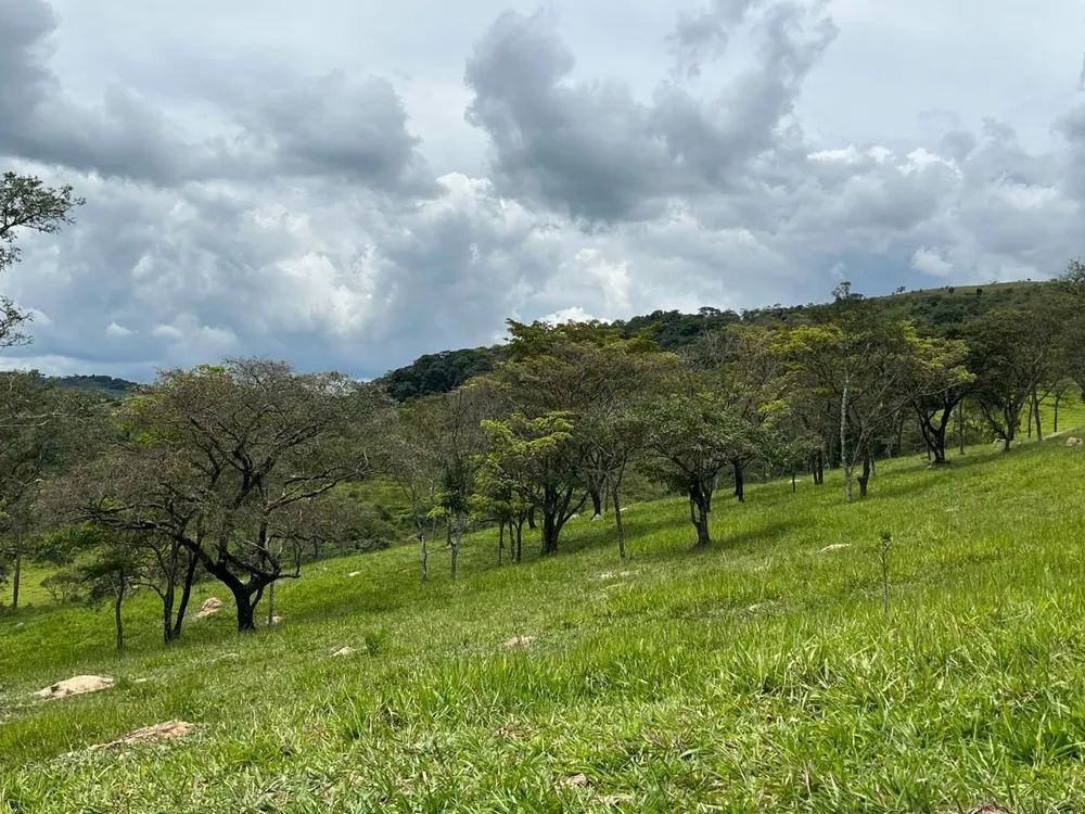 Fazenda, 48 hectares - Foto 15