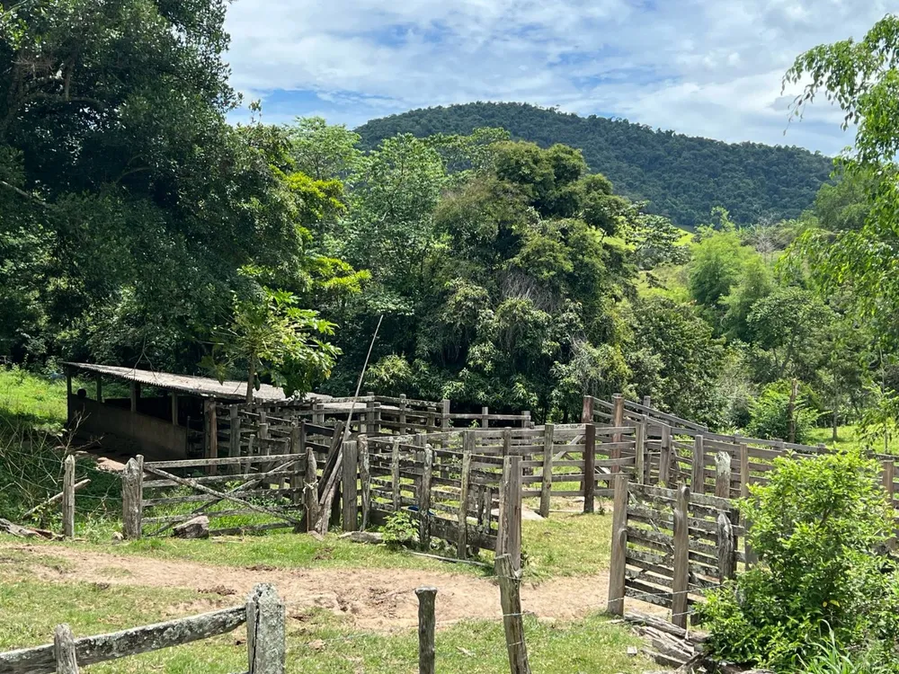 Fazenda, 48 hectares - Foto 5