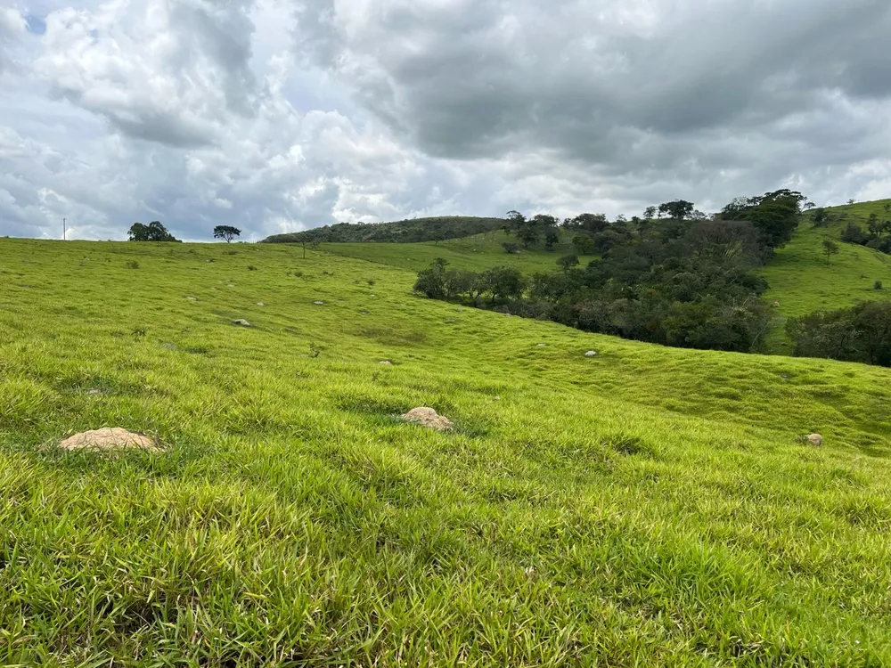 Fazenda, 48 hectares - Foto 2