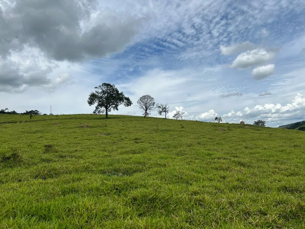 Fazenda, 48 hectares - Foto 1