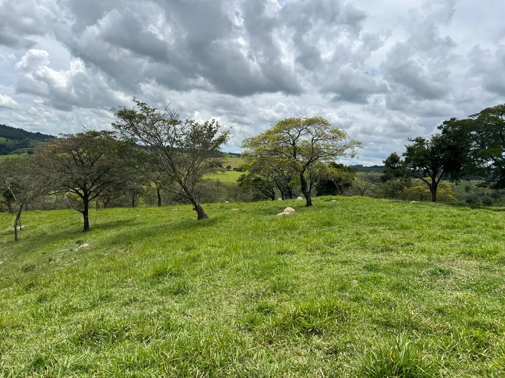 Fazenda, 48 hectares - Foto 3