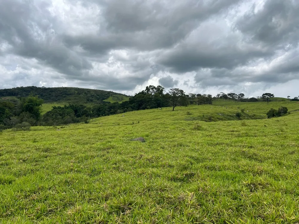 Fazenda, 48 hectares - Foto 8