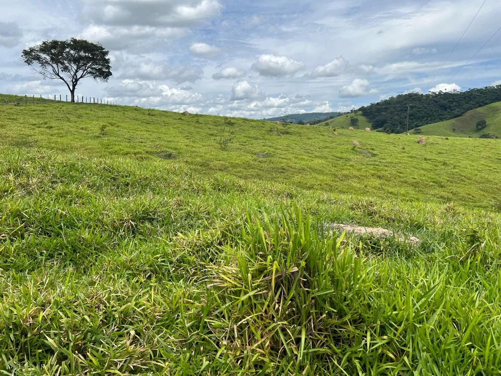 Fazenda, 48 hectares - Foto 13