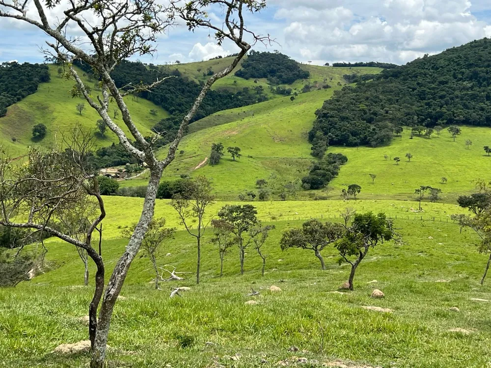 Fazenda, 48 hectares - Foto 6
