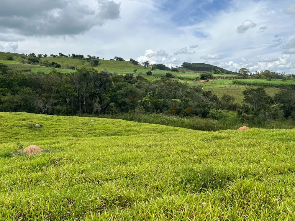 Fazenda, 48 hectares - Foto 4