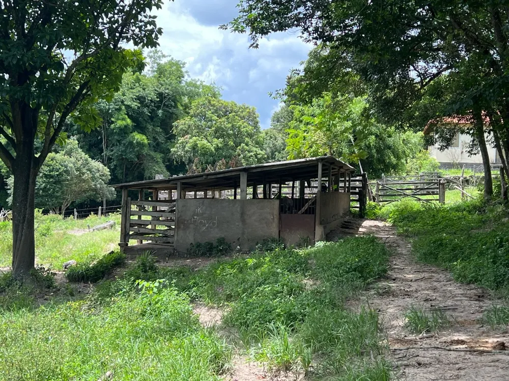 Fazenda, 48 hectares - Foto 9