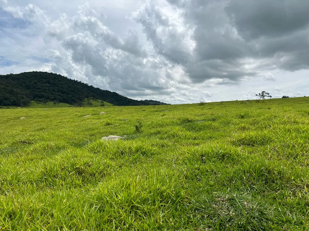 Fazenda, 48 hectares - Foto 7