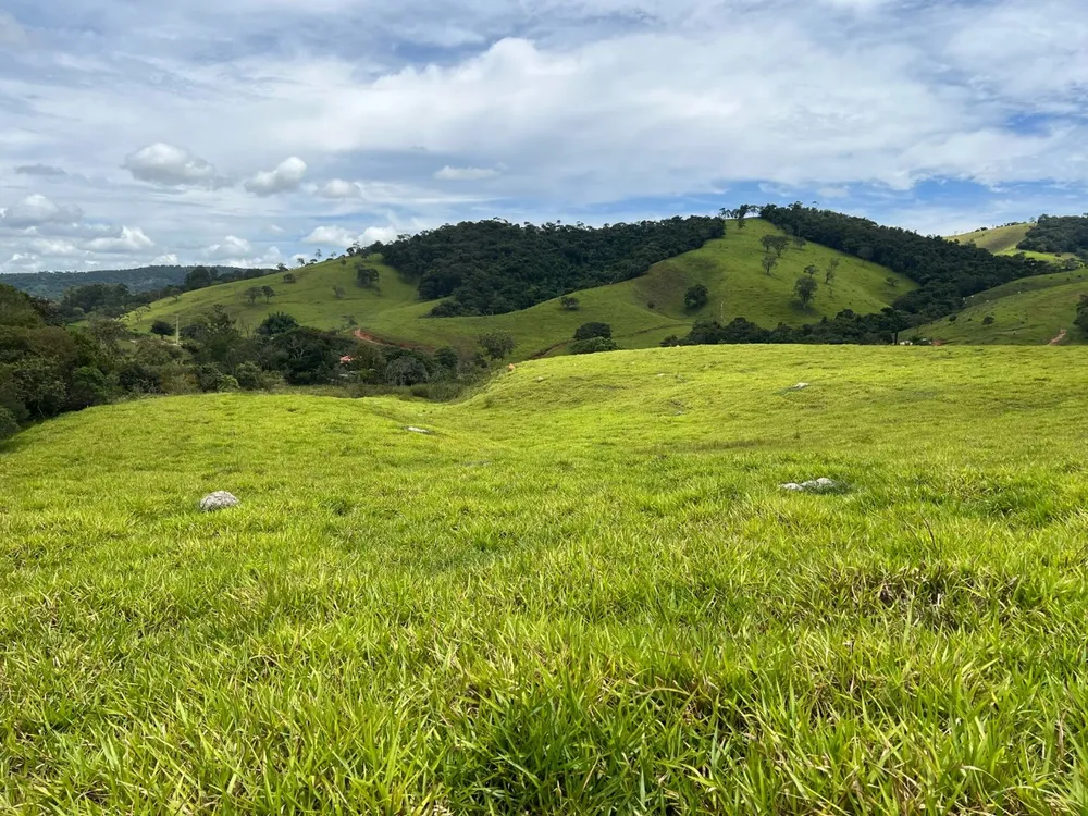 Fazenda, 48 hectares - Foto 12