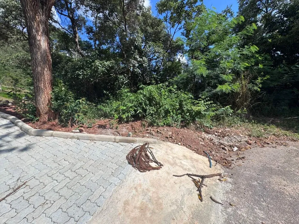 Terreno, 3000 m² - Foto 8