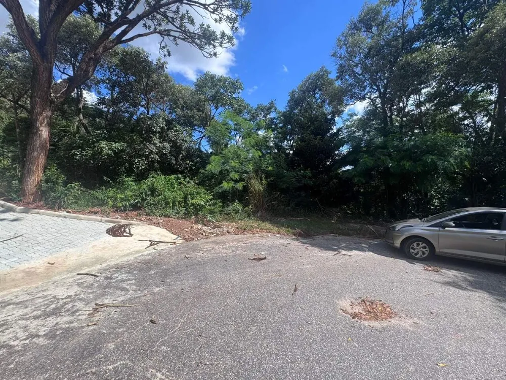 Terreno, 3000 m² - Foto 7
