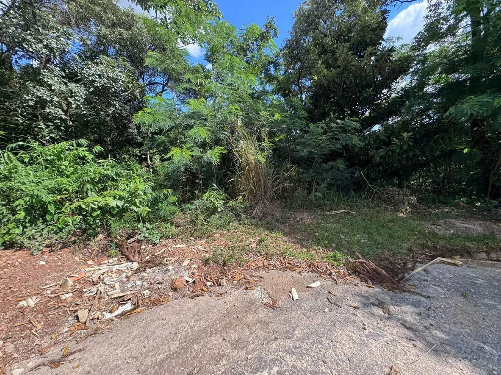 Terreno, 3000 m² - Foto 6