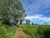 Terreno, 5 hectares - Foto 3