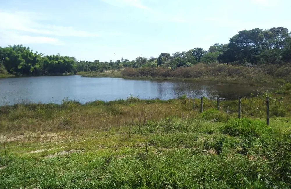 Fazenda, 987 hectares - Foto 6