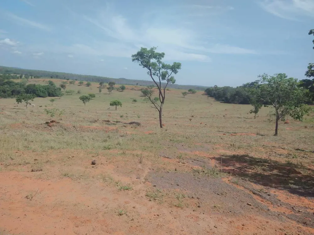 Fazenda, 987 hectares - Foto 7