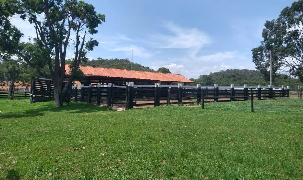 Fazenda, 987 hectares - Foto 3