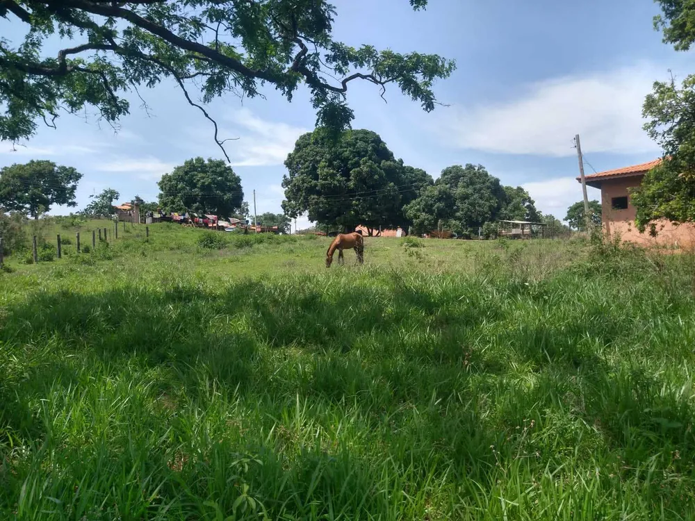 Fazenda, 987 hectares - Foto 8