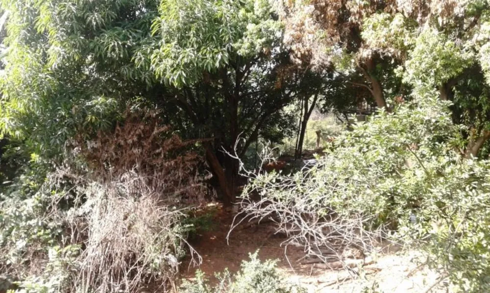 Terreno, 680 m² - Foto 6