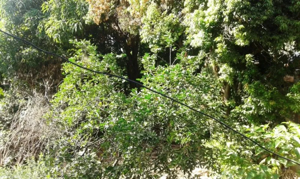 Terreno, 680 m² - Foto 2