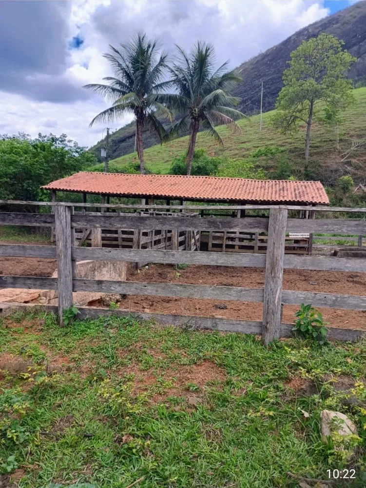 Fazenda, 7 quartos - Foto 3