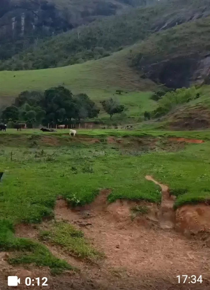 Fazenda, 7 quartos - Foto 5