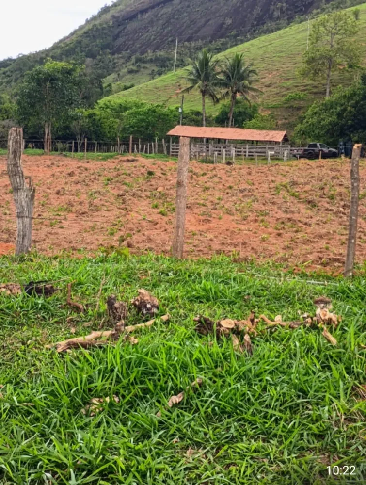 Fazenda, 7 quartos - Foto 4