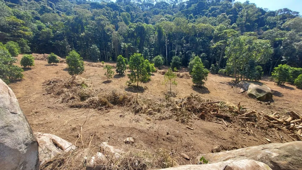 Terreno, 139000 m² - Foto 1