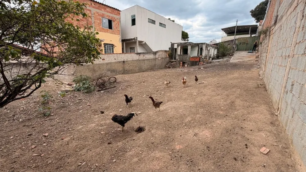 Terreno, 360 m² - Foto 3