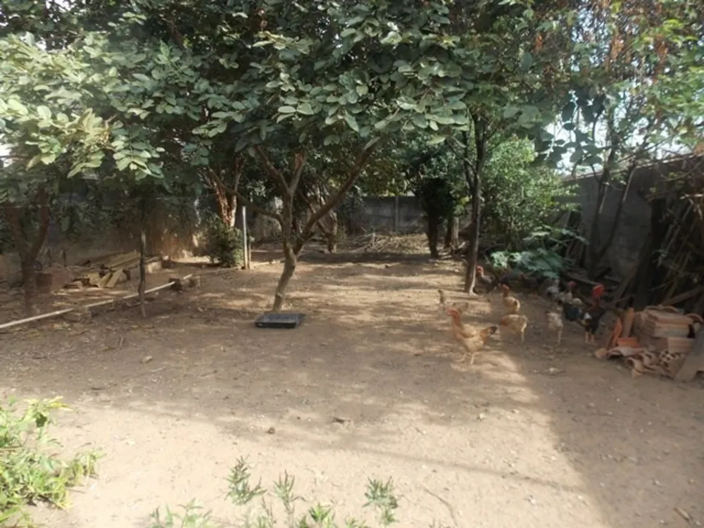 Terreno, 640 m² - Foto 3