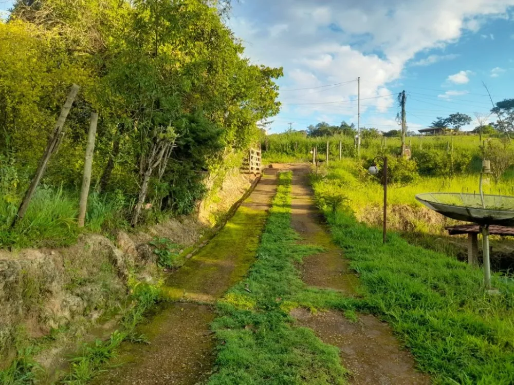 Chácara, 3 quartos, 3000 m² - Foto 7