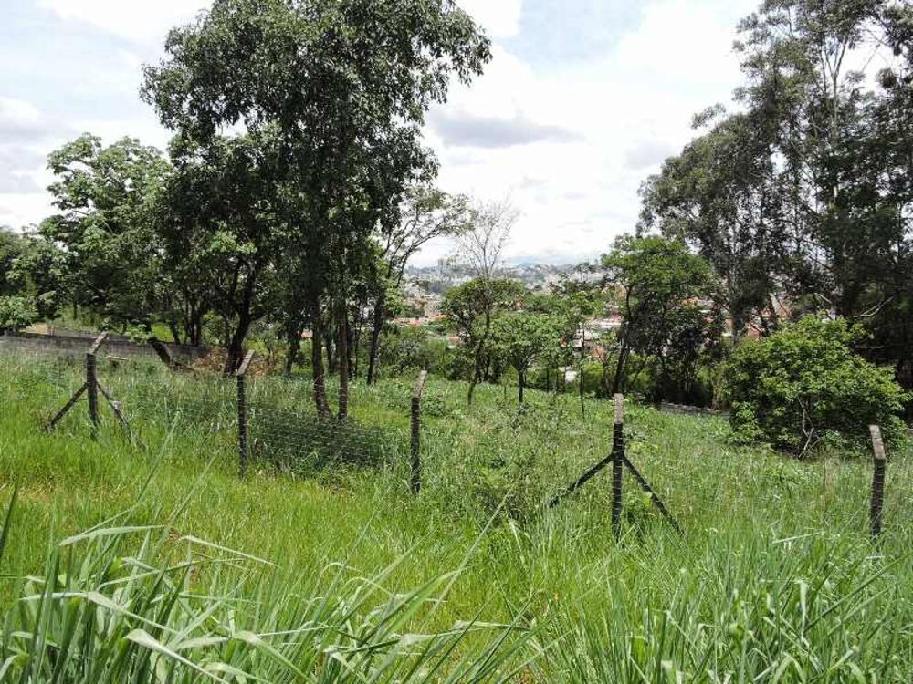 Terreno à venda, 1325m² - Foto 4