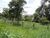 Terreno, 1325 m² - Foto 4