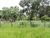 Terreno, 1325 m² - Foto 1