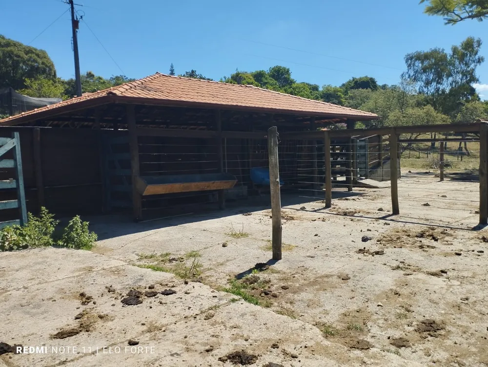 Fazenda, 60 hectares - Foto 3
