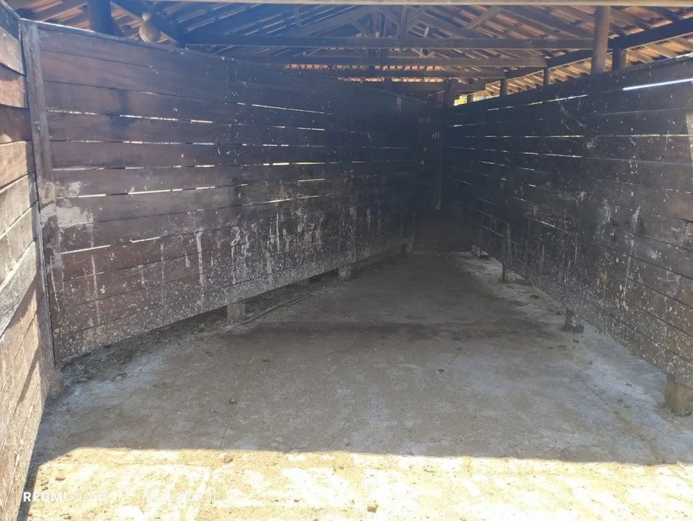 Fazenda, 60 hectares - Foto 12