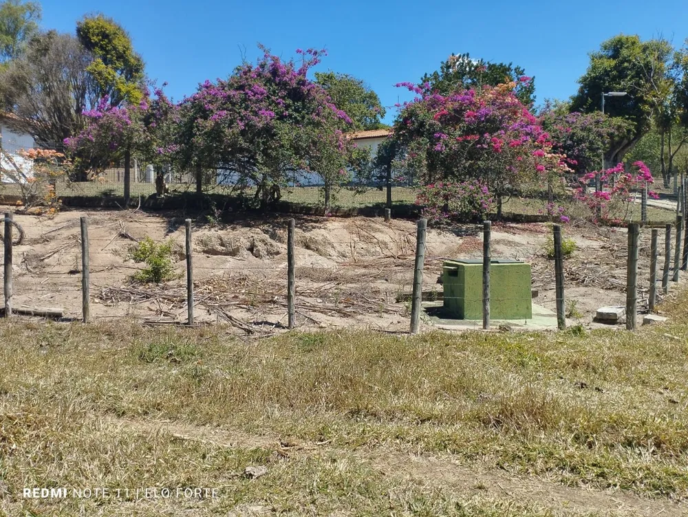 Fazenda, 60 hectares - Foto 7