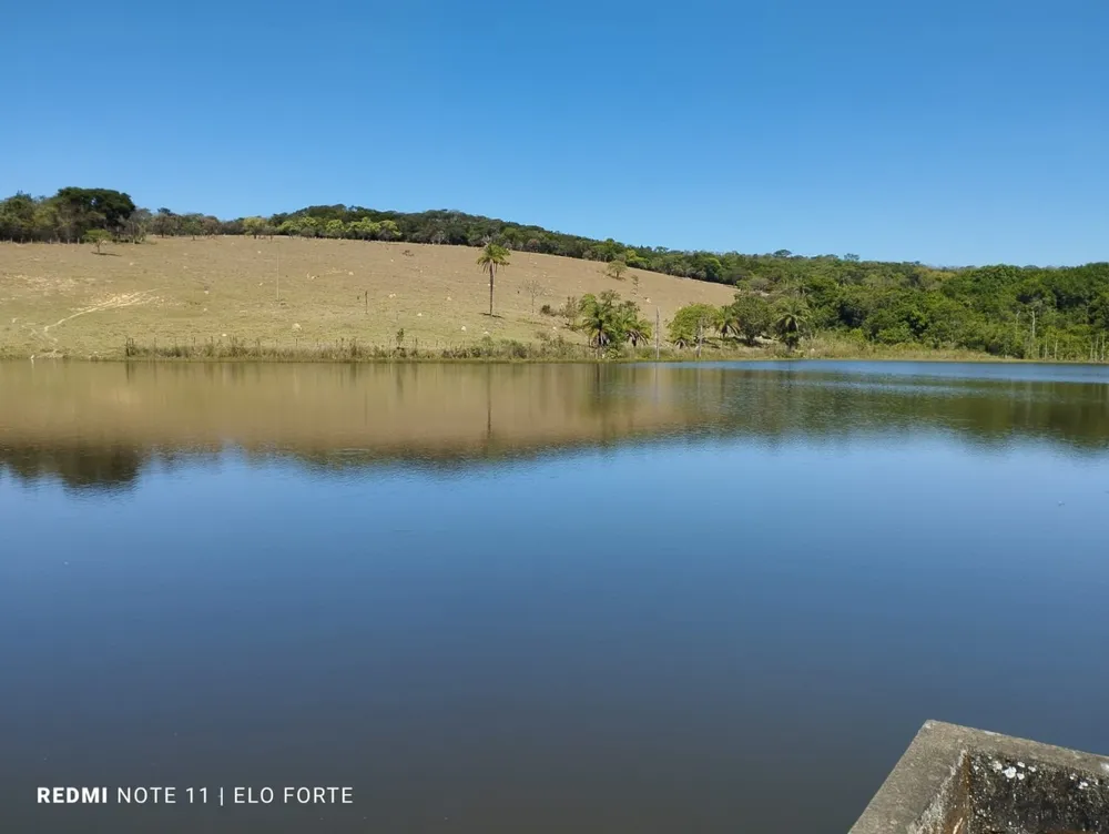 Fazenda, 60 hectares - Foto 2
