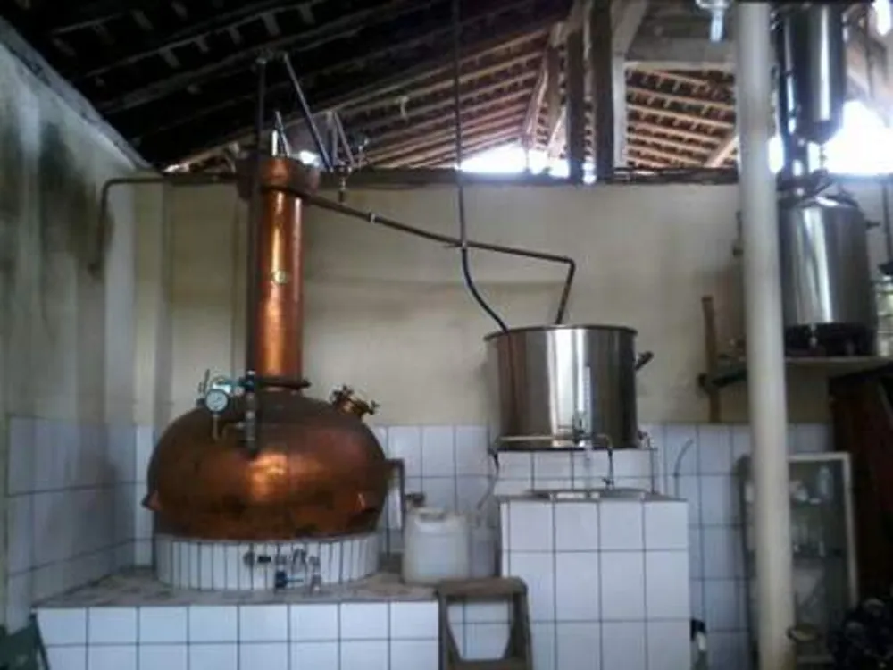 Fazenda, 64 m² - Foto 5