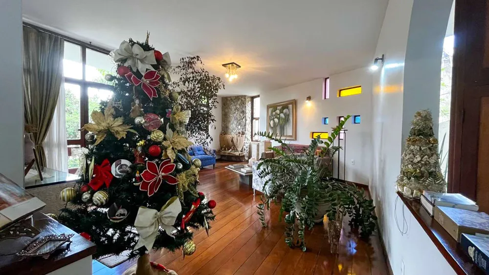 Casa, 4 quartos, 384 m² - Foto 2