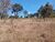 Terreno, 60000 m² - Foto 4